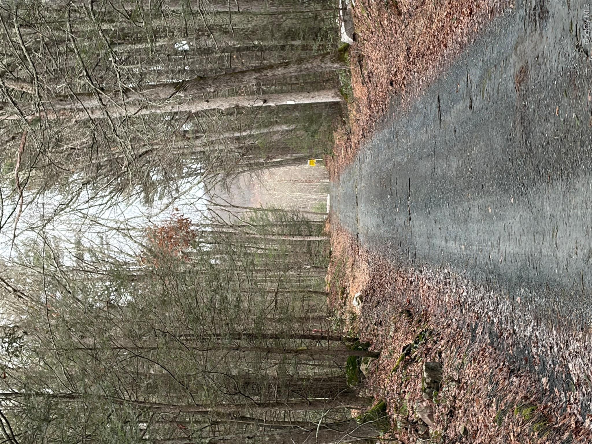 Allen Road Wurtsboro, NY 12790 - Photo 15 of 18