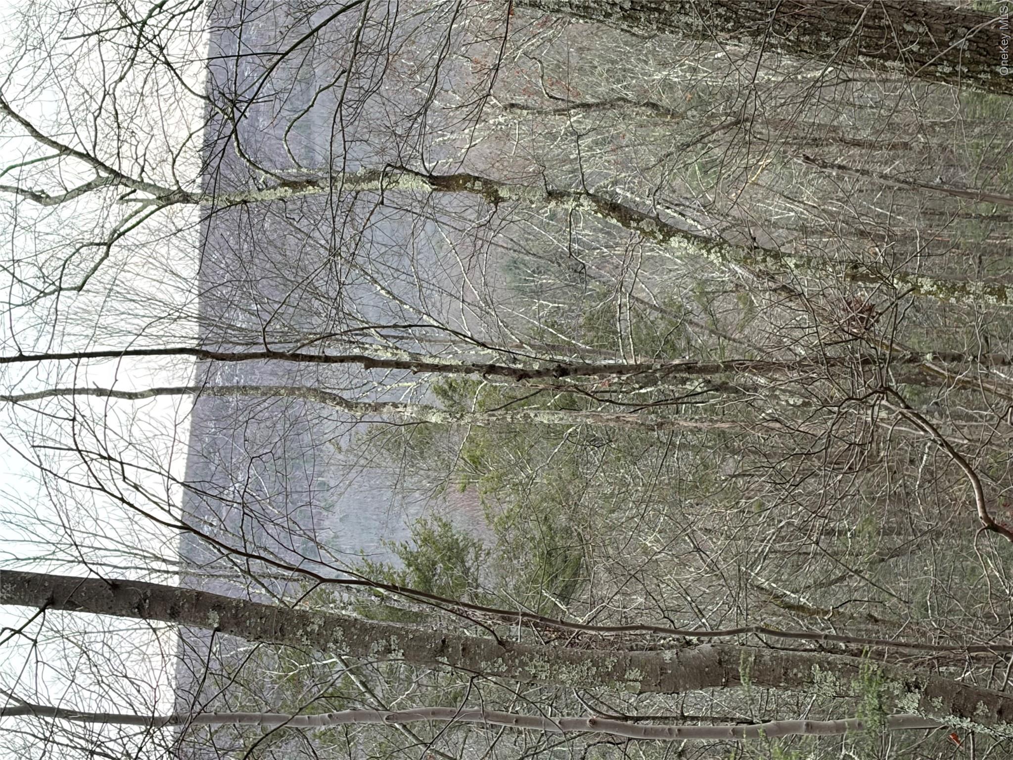 Allen Road Wurtsboro, NY 12790 - Photo 16 of 18