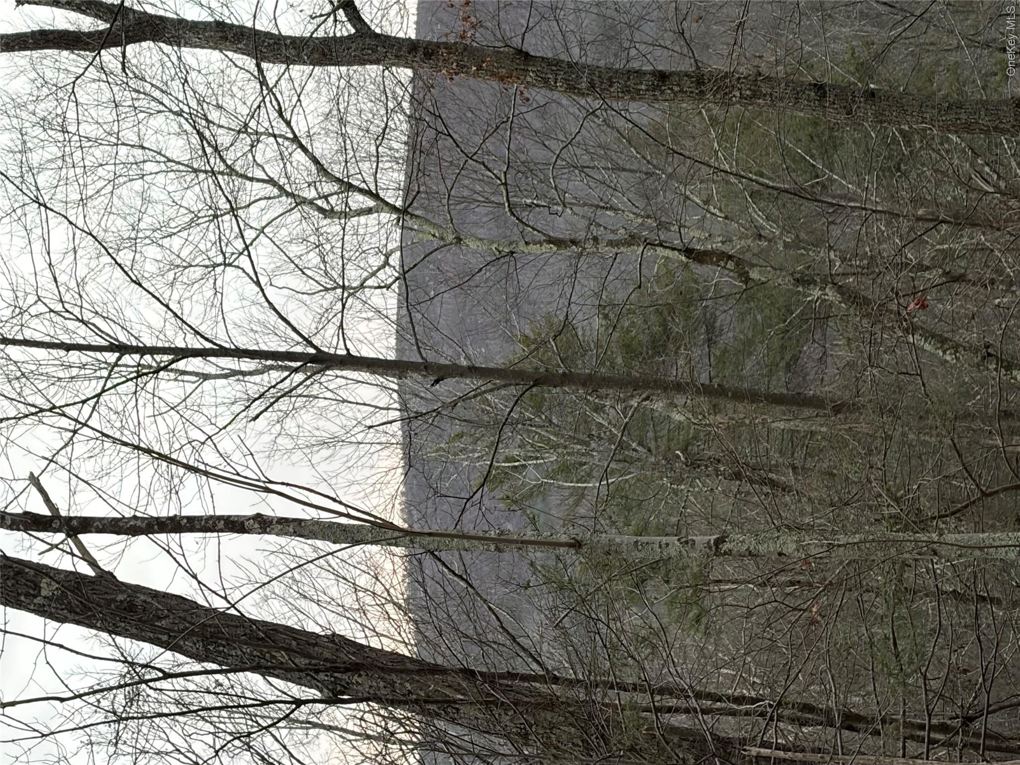 Allen Road Wurtsboro, NY 12790 - Photo 17 of 18