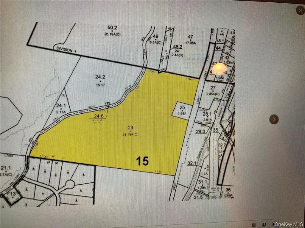 Allen Road Wurtsboro, NY 12790 - Photo 2 of 9