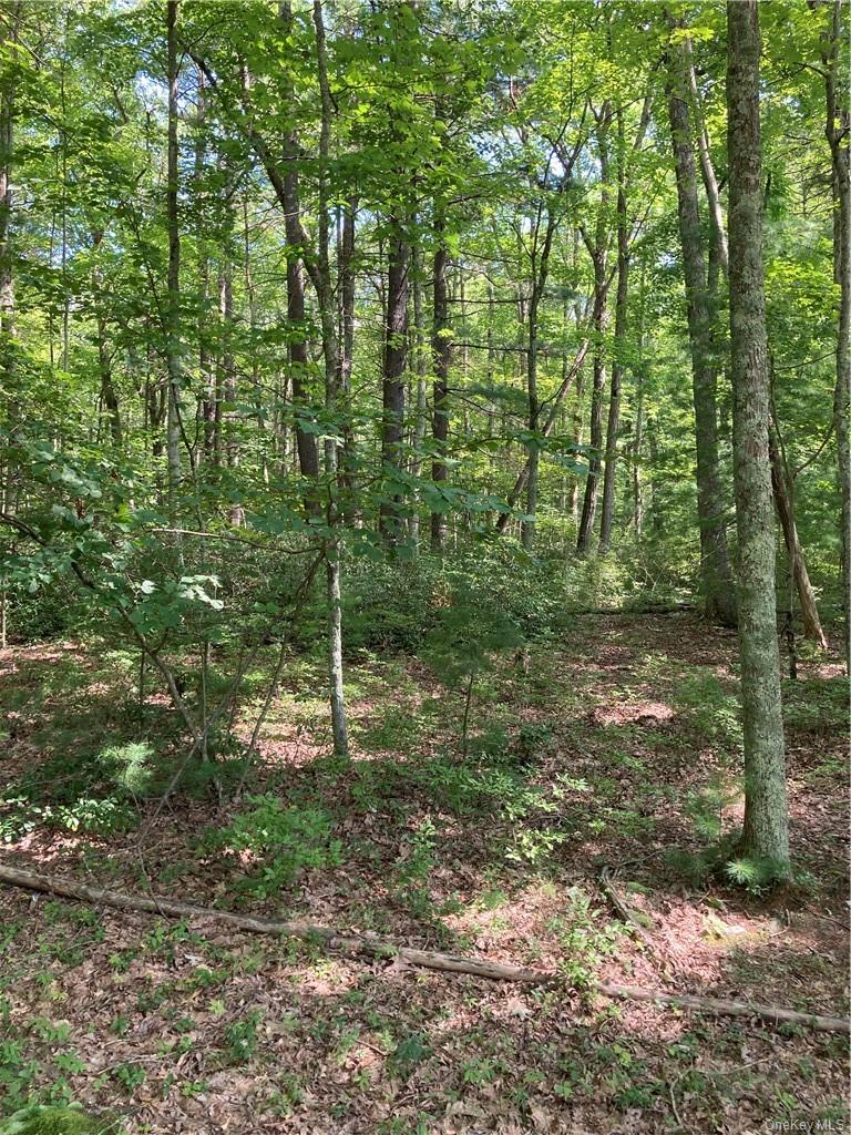 Allen Road Wurtsboro, NY 12790 - Photo 4 of 9 a backyard of a house with lots of green space