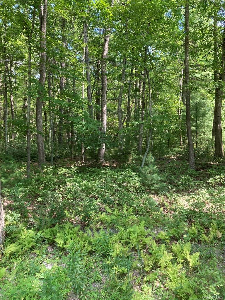 Allen Road Wurtsboro, NY 12790 - Photo 6 of 9 a view of outdoor space and green space