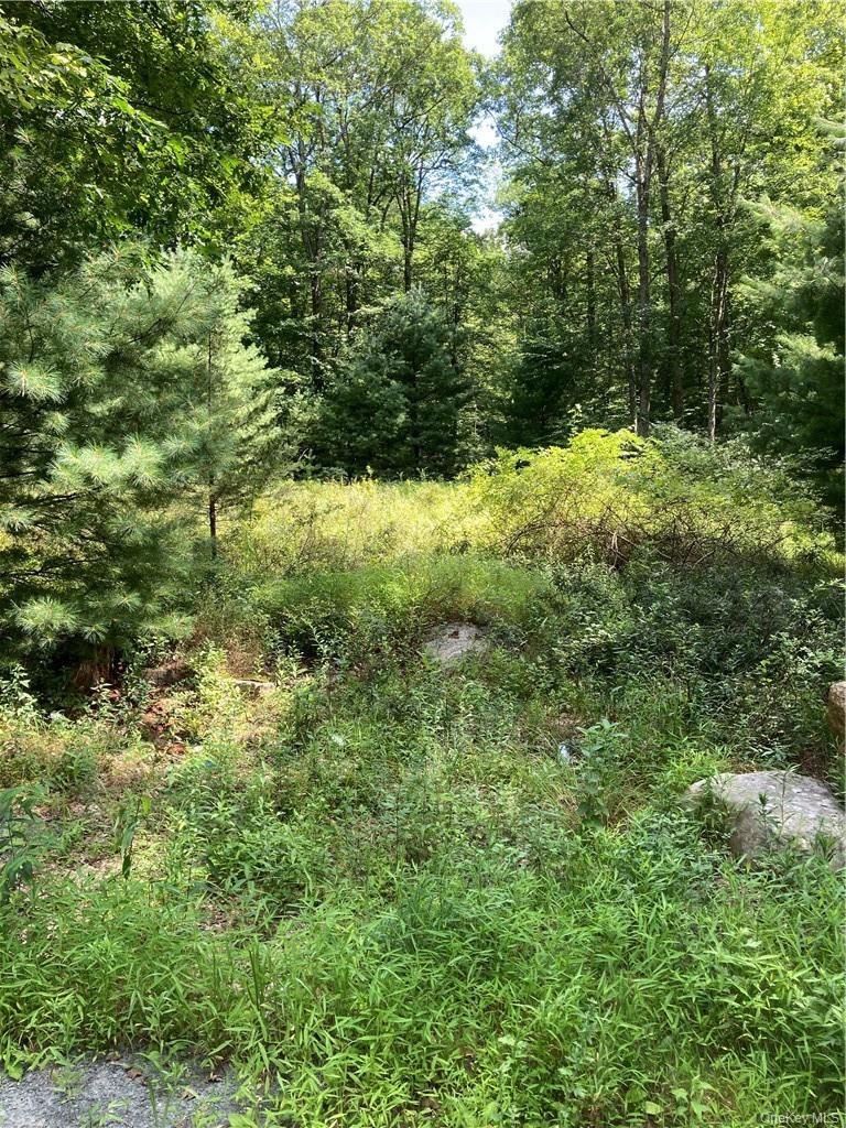 Allen Road Wurtsboro, NY 12790 - Photo 7 of 9 a view of outdoor space and trees