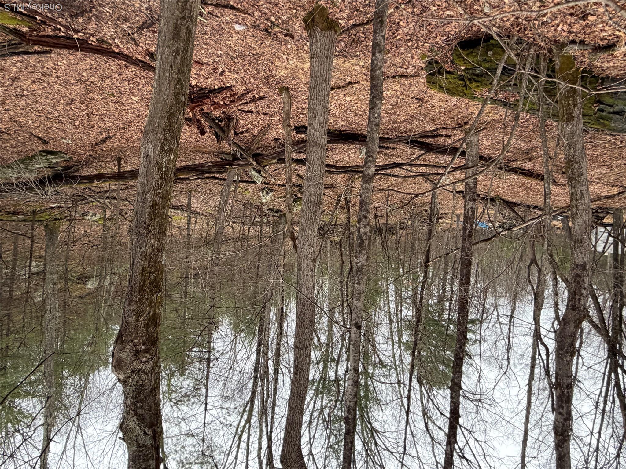 Allen Road Wurtsboro, NY 12790 - Photo 10 of 18