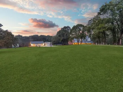 a view of a big yard with a large tree and table
