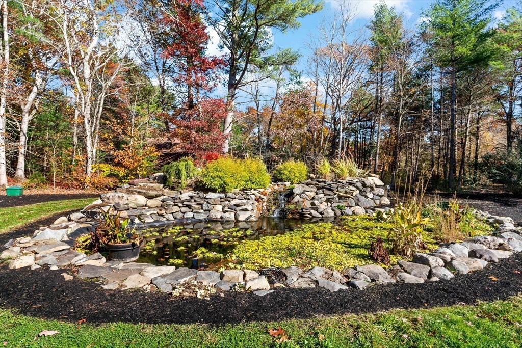 15 Hickory Ridge Road Rehoboth, MA 02769 - Photo 35 of 42 a view of a yard with plants