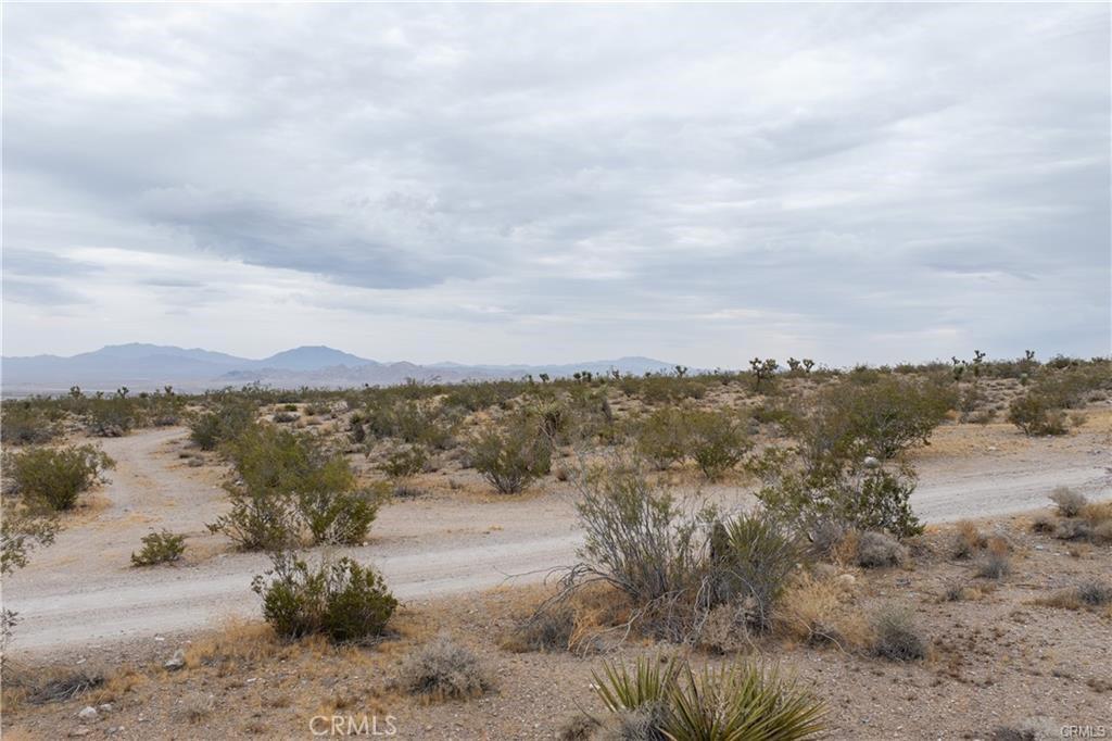 37050 Cheshire Road Lucerne Valley, CA 92356 - Photo 4 of 8 a view of a lake with mountain