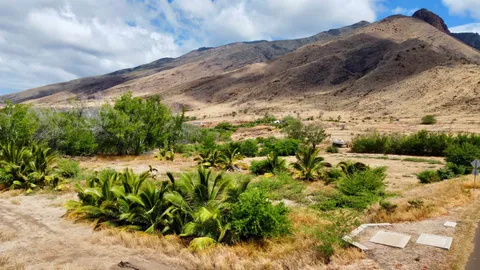 a view of a backyard of a house with a mountain