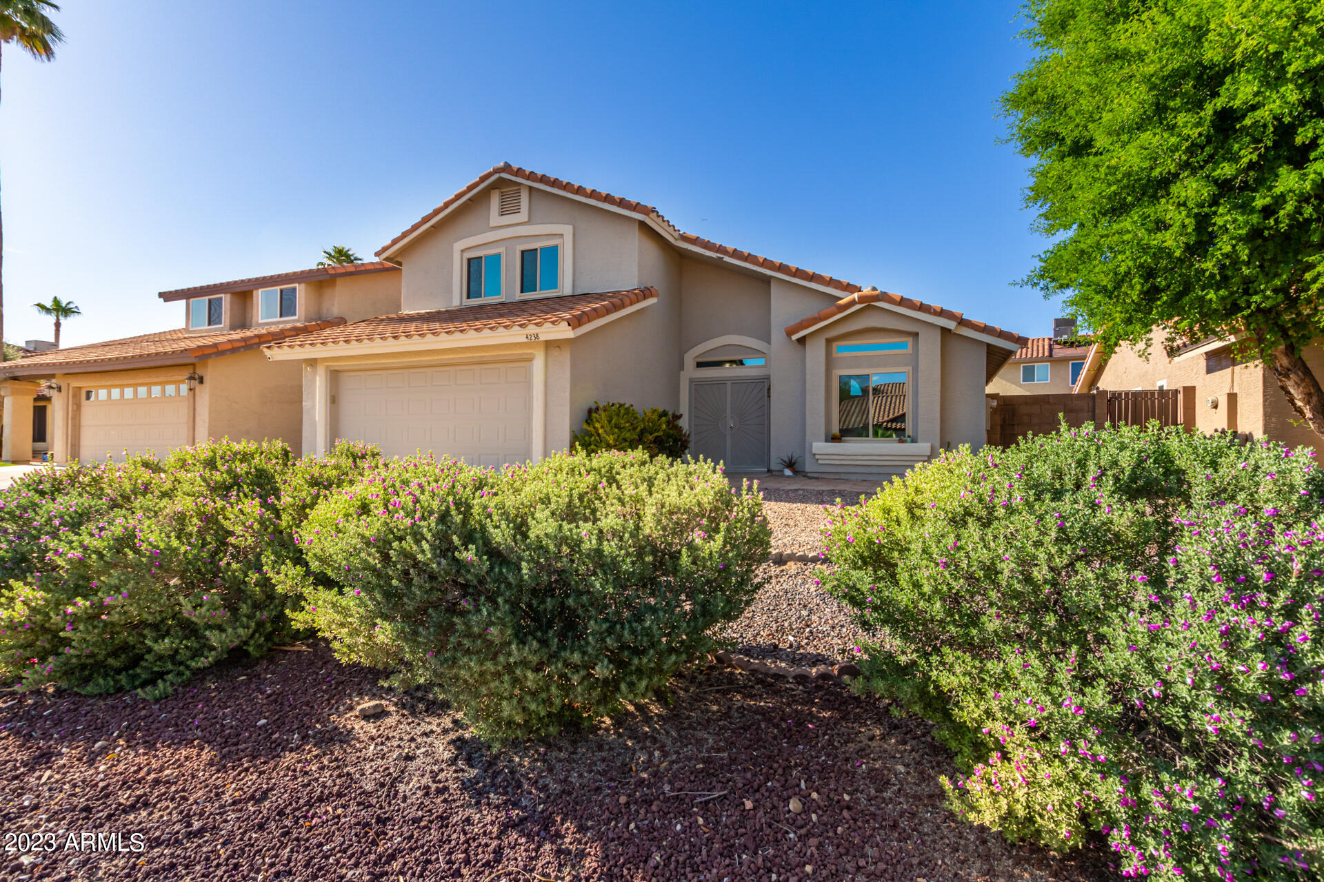 4238 East Frye Road Phoenix, AZ 85048 - Photo 4 of 35 04 Frye