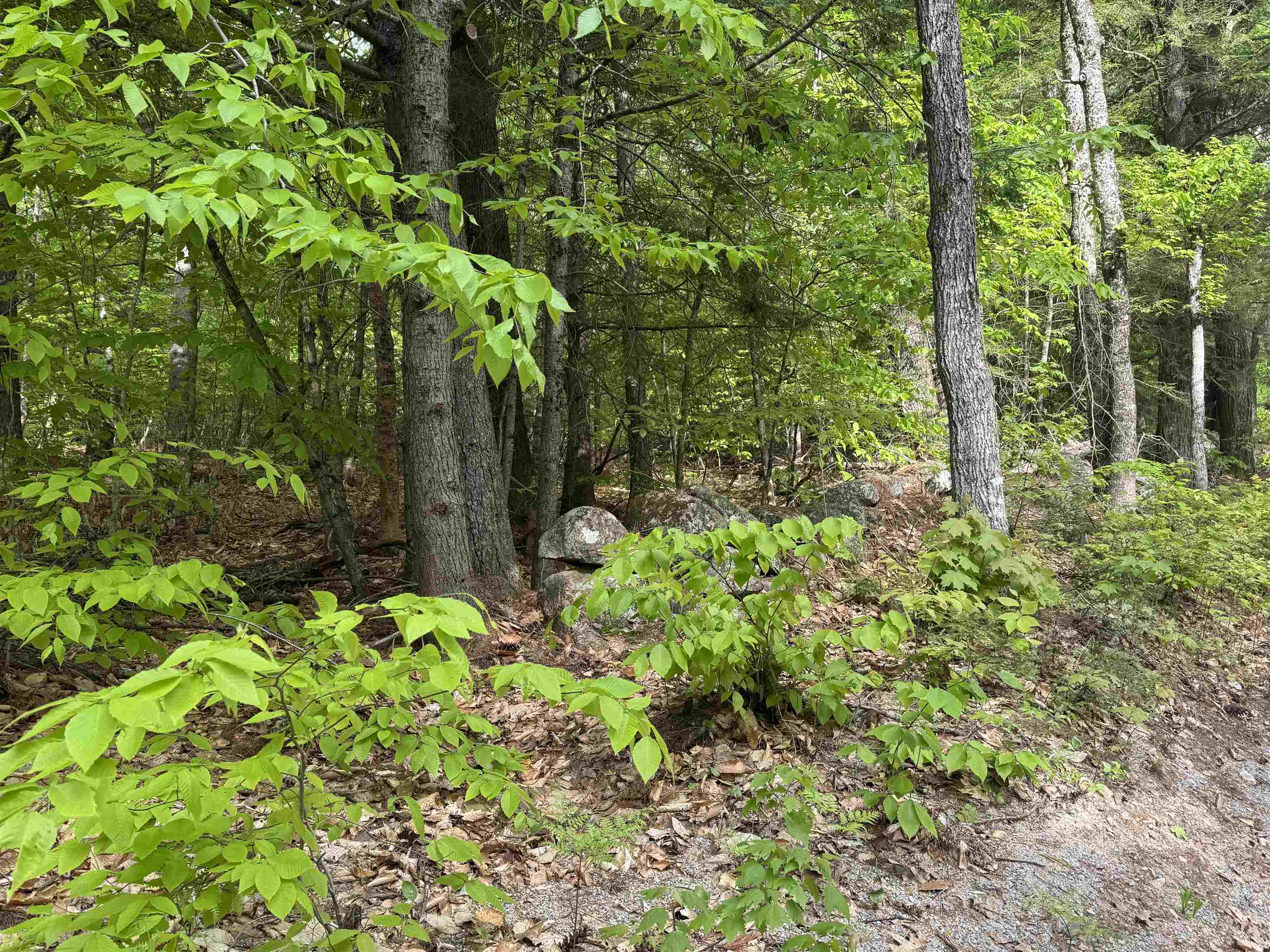 67 Old Pound Road Effingham, NH 03882 - Photo 23 of 47