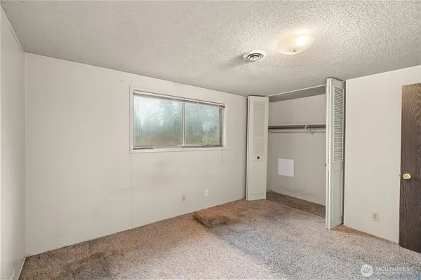 a view of a yard with trees