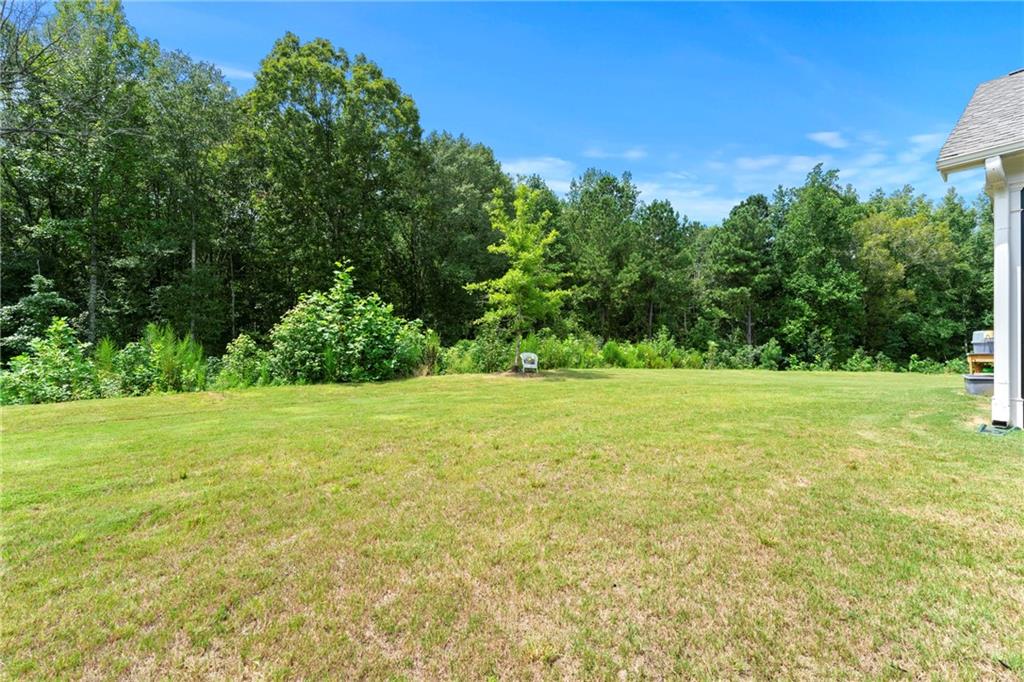 430 Plainfield Street Fayetteville, GA 30215 - Photo 21 of 21 a view of a field with an trees