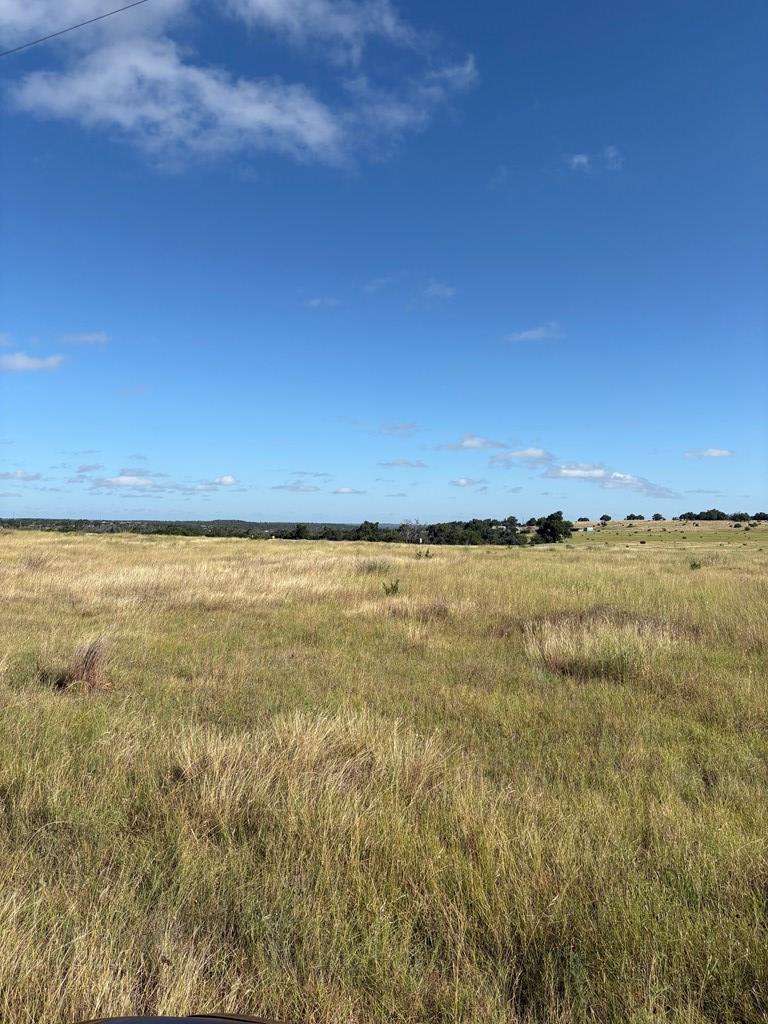 275 Painted Pony Road Harper, TX 78631 - Photo 2 of 9