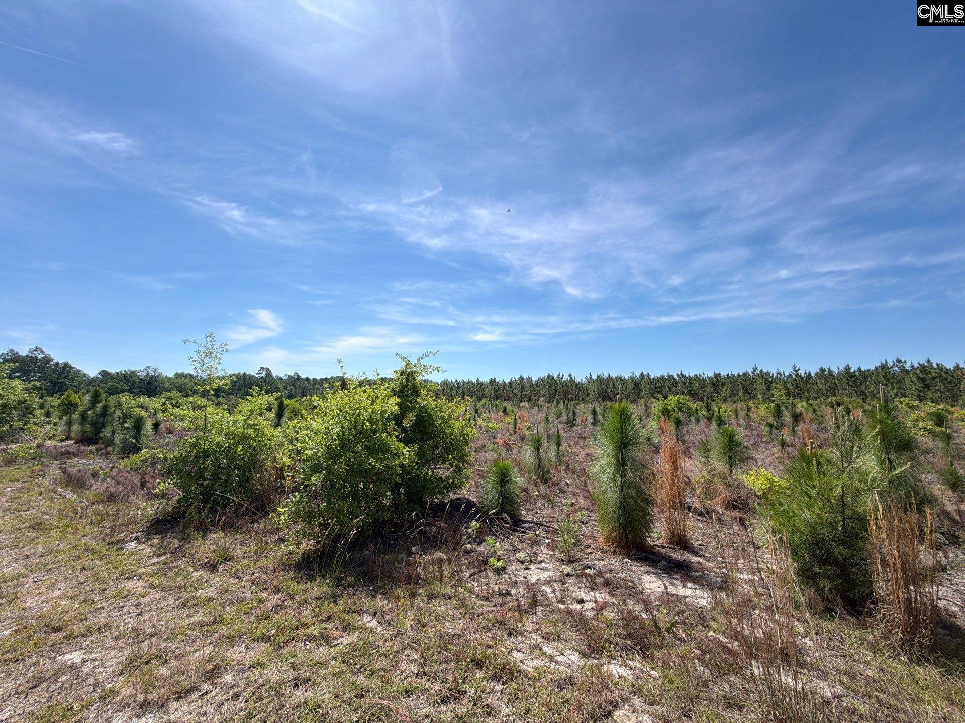 4 Holstein Road Monetta, SC 29105 - Photo 11 of 12