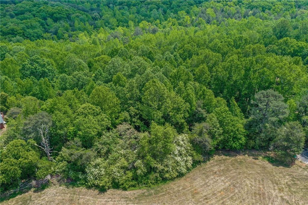 0 Anderson Lake Road Dawsonville, GA 30534 - Photo 23 of 24