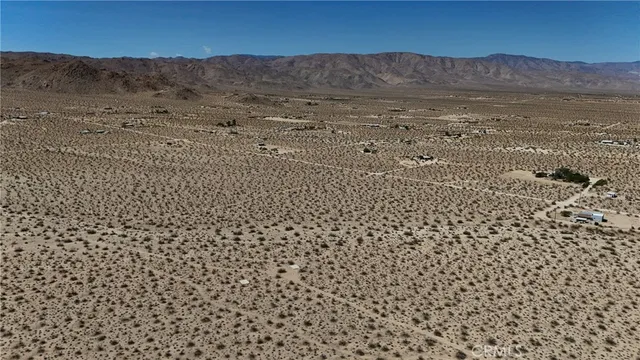 a view of a dry yard