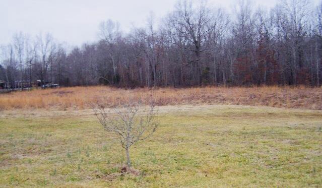2151 Capshaw Road Smithville, TN 37166 - Photo 2 of 16 Gallery Image 2