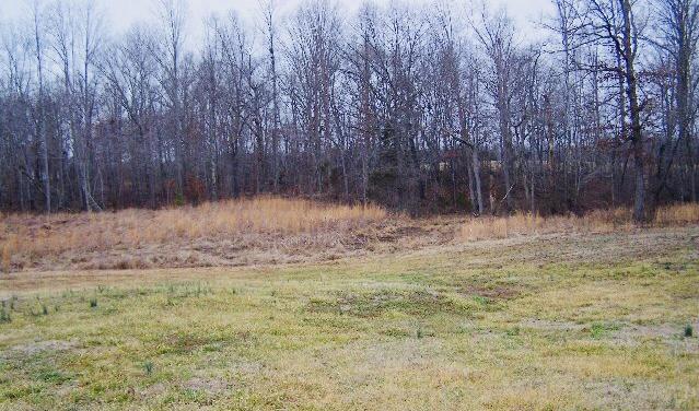 2151 Capshaw Road Smithville, TN 37166 - Photo 3 of 16 Gallery Image 3