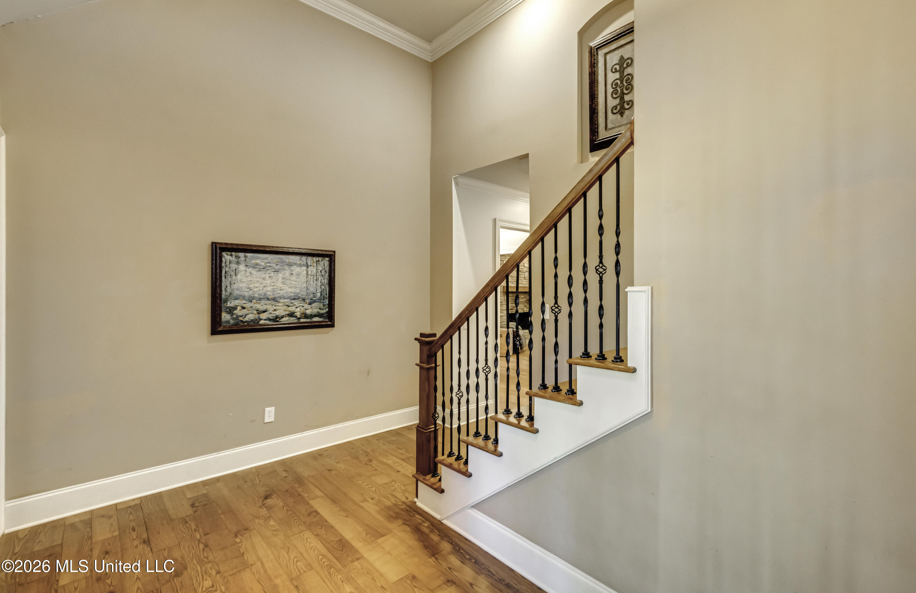 515 Turtle Lane Brandon, MS 39047 - Photo 5 of 66 515 Turtle Lane--22