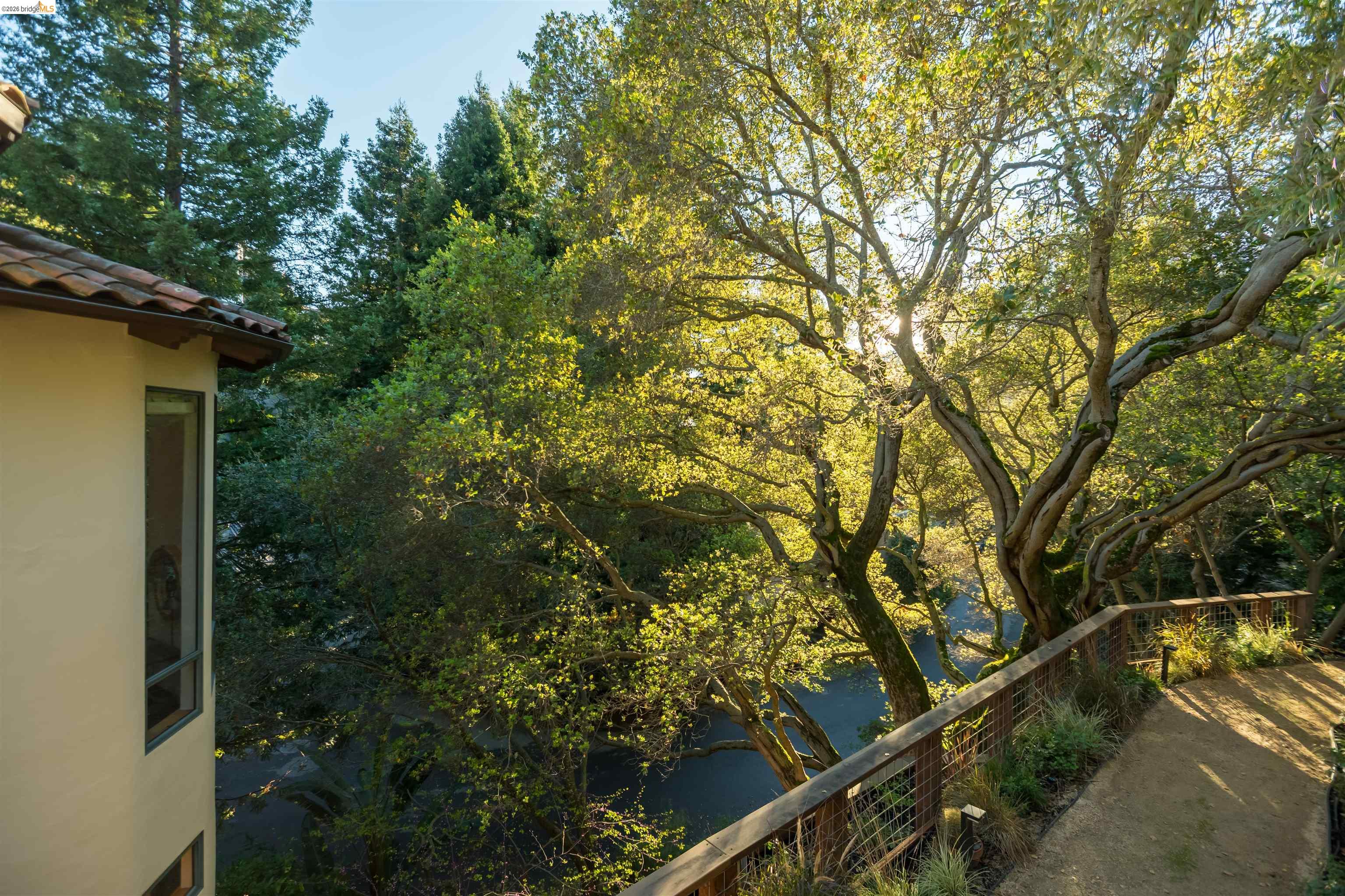 1102 Grand View Drive Berkeley, CA 94705 - Photo 46 of 50 a view of a house with a tree