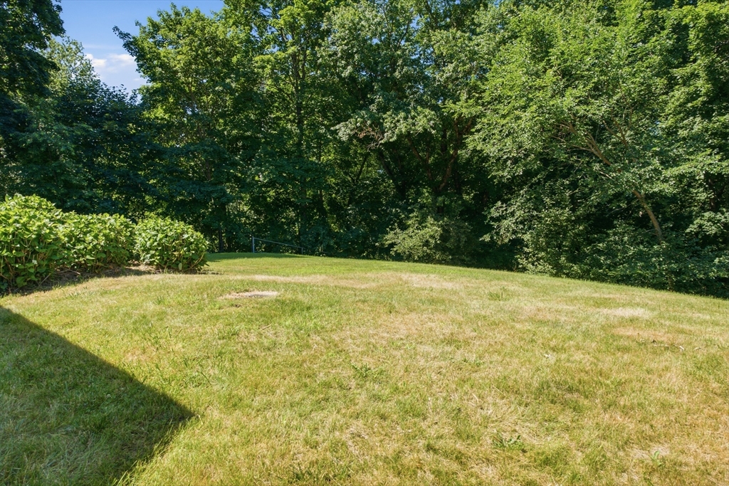 165 Tahattawan Road Littleton, MA 01460 - Photo 39 of 42