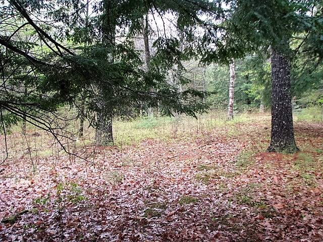 Rollins Road Hopkinton, NH 03229 - Photo 3 of 7