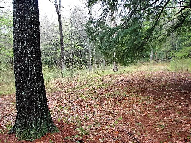 Rollins Road Hopkinton, NH 03229 - Photo 5 of 7