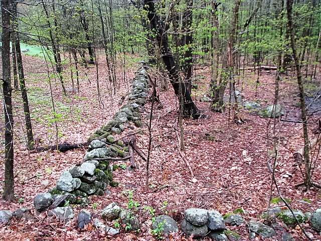 Rollins Road Hopkinton, NH 03229 - Photo 6 of 7