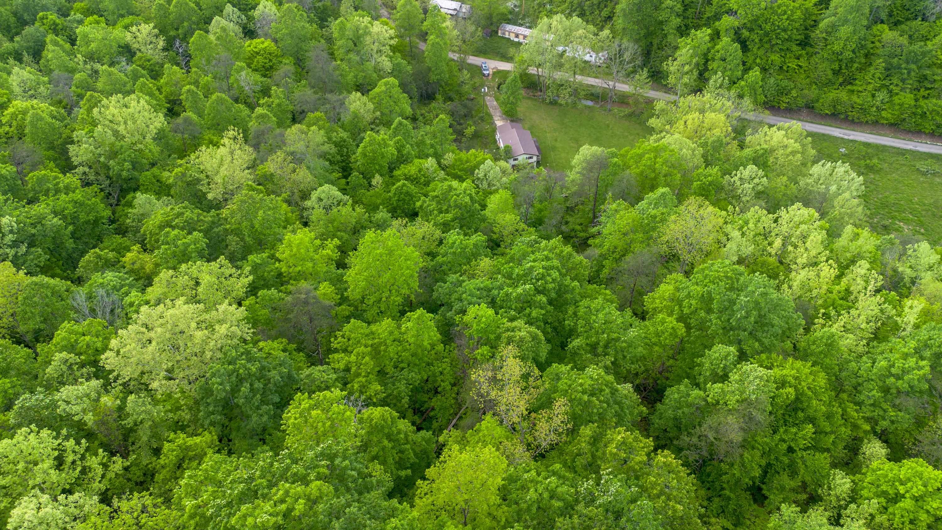 621 Nebo Road Catlettsburg, KY 41129 - Photo 7 of 15 Gallery Image 7