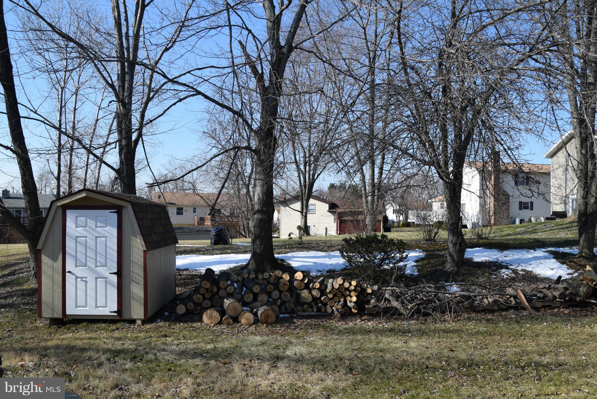 4012 Winlee Road Randallstown, MD 21133 - Photo 12 of 22 a view of a yard covered with tall trees