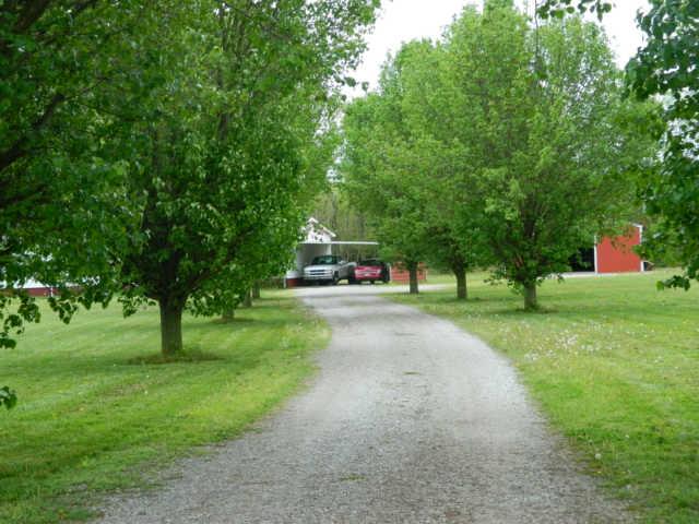 2305 Shady Grove Road Morrison, TN 37357 - Photo 2 of 12 Featuring 5.39 Acres leading into home