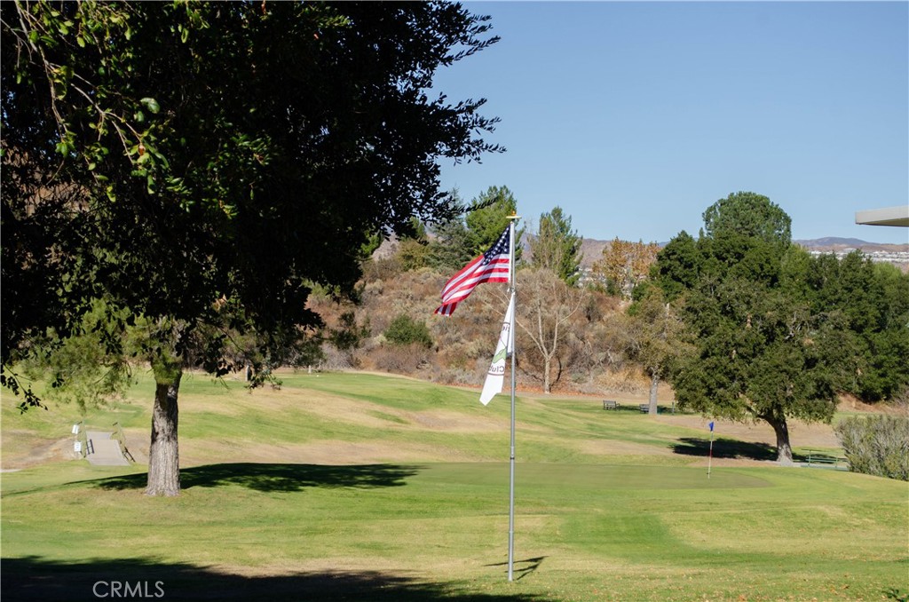 26701 Oak Branch Circle Newhall, CA 91321 - Photo 39 of 44 a view of a tree with a yard