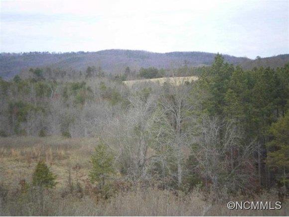 306 Hopewell Road Ellenboro, NC 28040 - Photo 2 of 24 Gallery Image 2