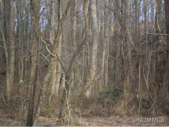 306 Hopewell Road Ellenboro, NC 28040 - Photo 18 of 24 Gallery Image 18