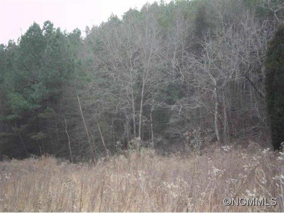 306 Hopewell Road Ellenboro, NC 28040 - Photo 4 of 24 Gallery Image 4