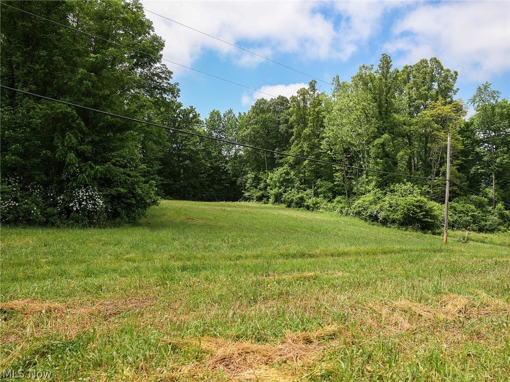 6816 South River Road Blue Rock, OH 43720 - Photo 40 of 41 View of yard