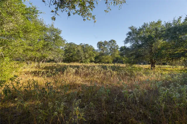a view of outdoor space with a garden and entertaining space
