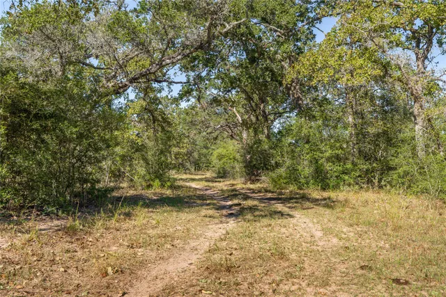 $3,325,227 | 0 County Road 1, Hallettsville, TX 77964