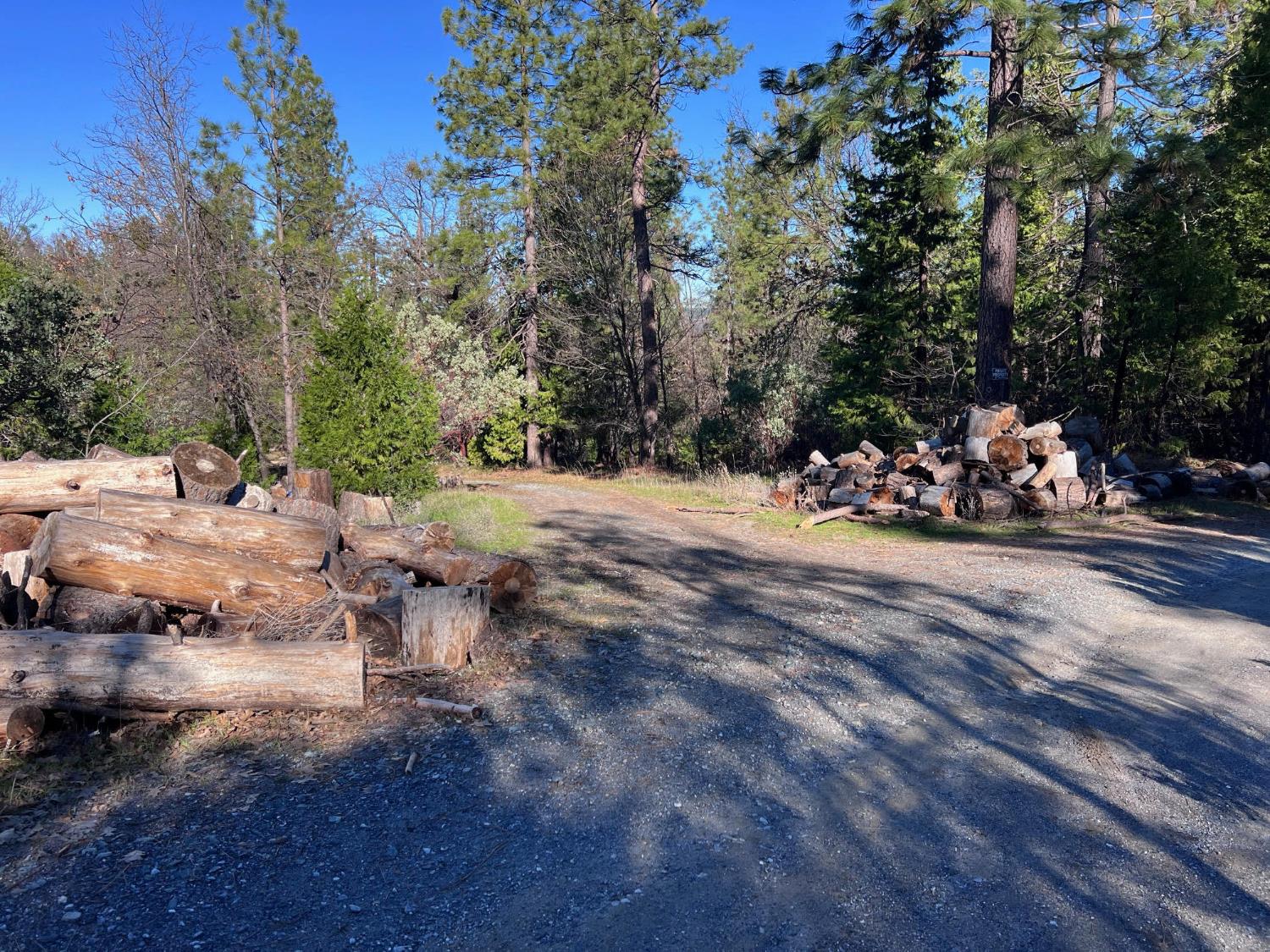 20 Old School House Road Somerset, CA 95684 - Photo 2 of 3 a view of a road with some trees