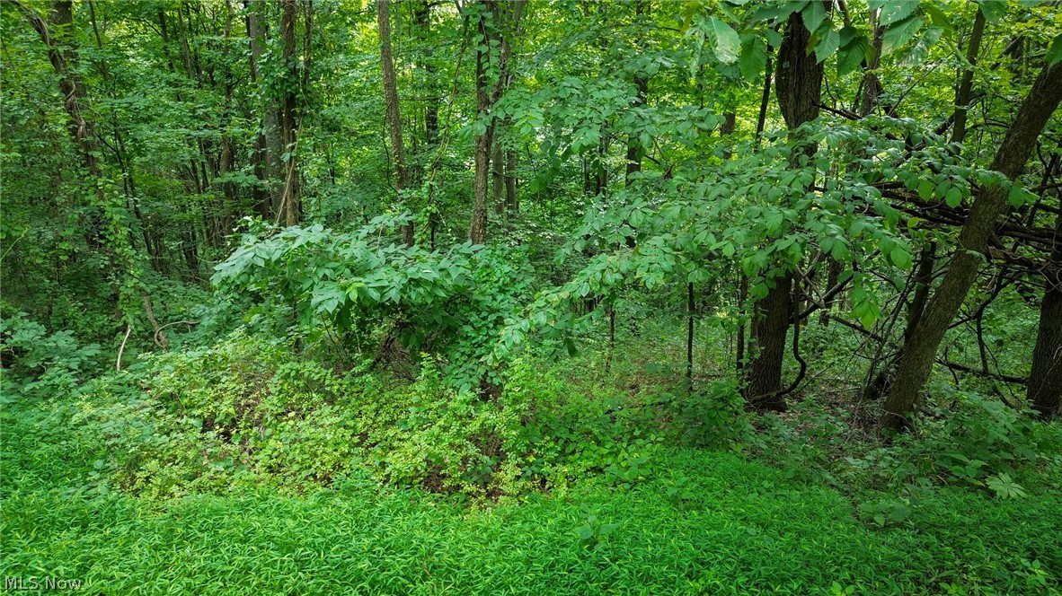 Windy Ridge Dennison, OH 44621 - Photo 21 of 50 Gallery Image 21