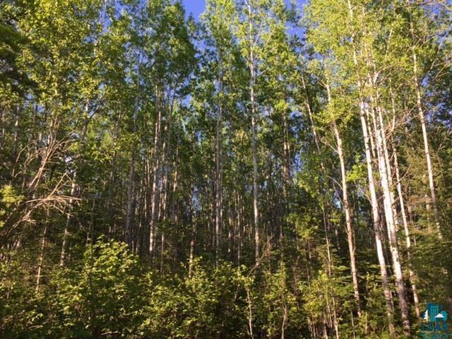 1142 Camp 20 Road Grand Marais, MN 55604 - Photo 6 of 17