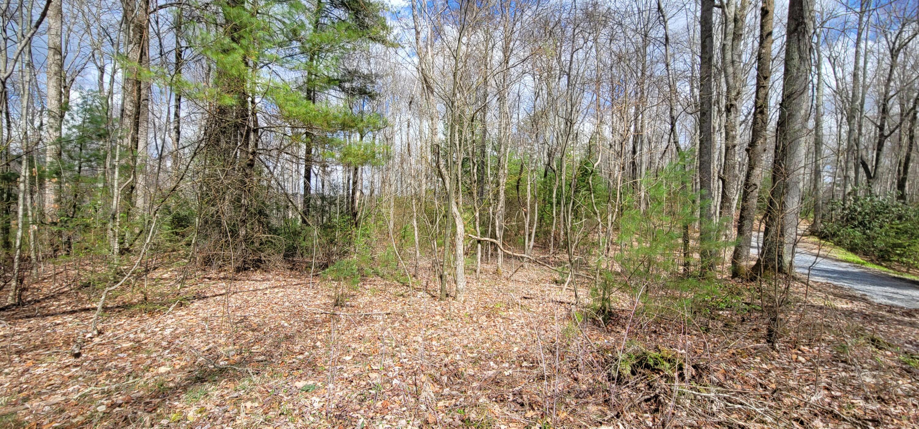 0 White Oak Road Butler, TN 37640 - Photo 11 of 25 20230327_131318