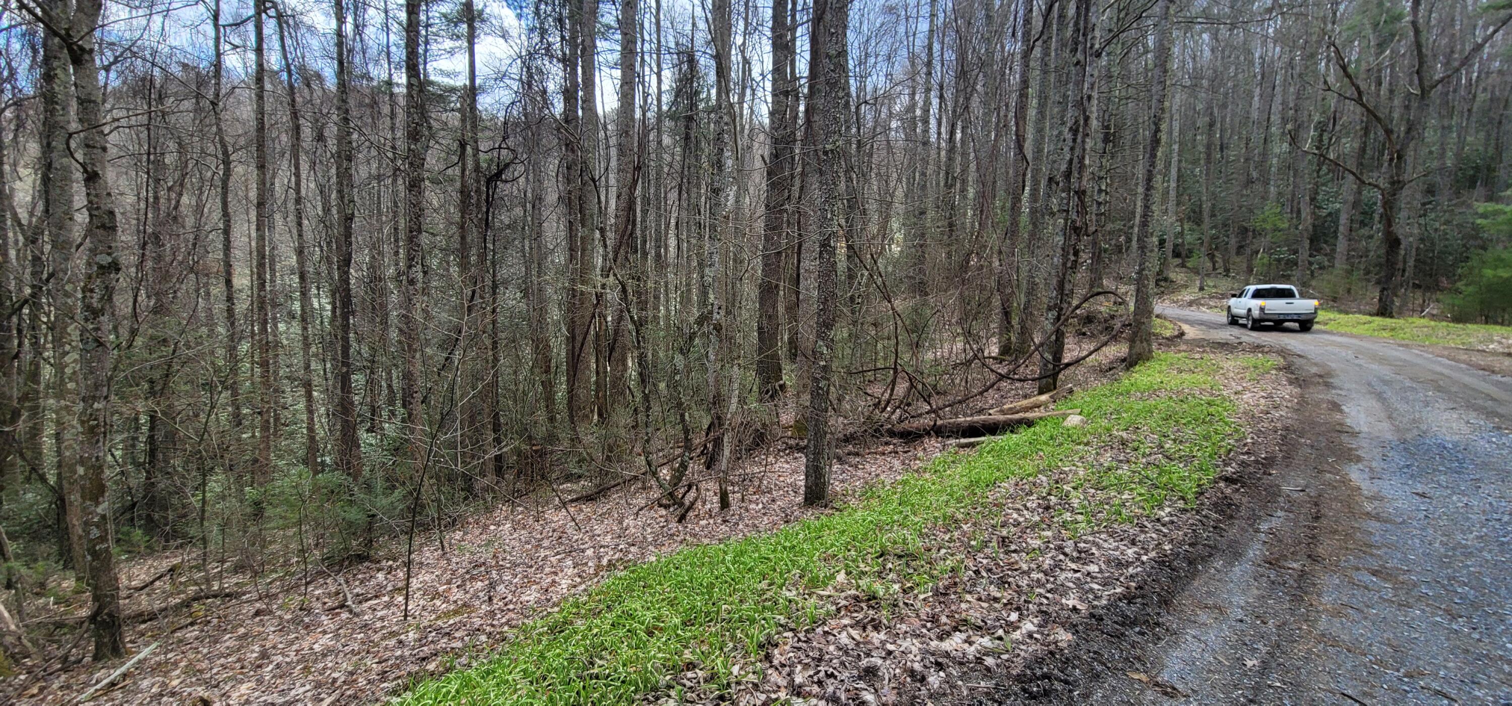 0 White Oak Road Butler, TN 37640 - Photo 14 of 25 20230327_131409