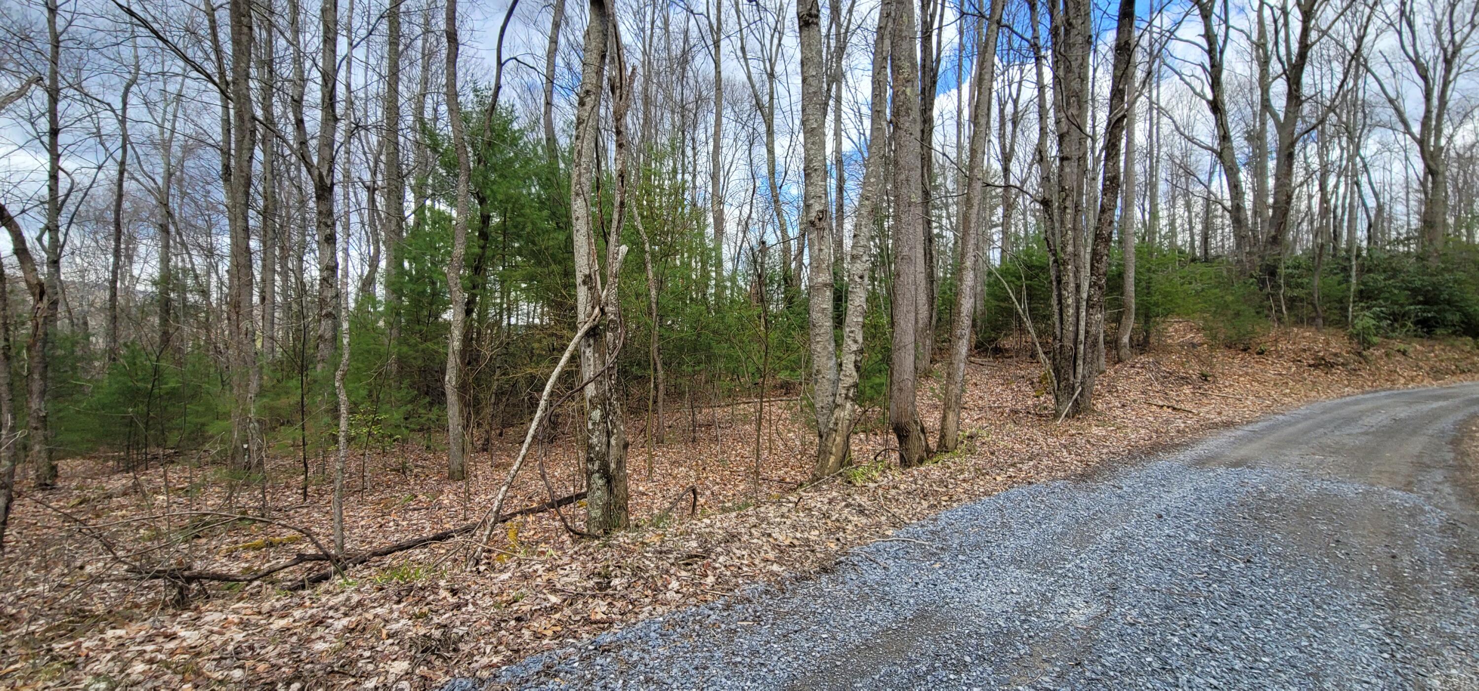 0 White Oak Road Butler, TN 37640 - Photo 15 of 25 20230327_131416