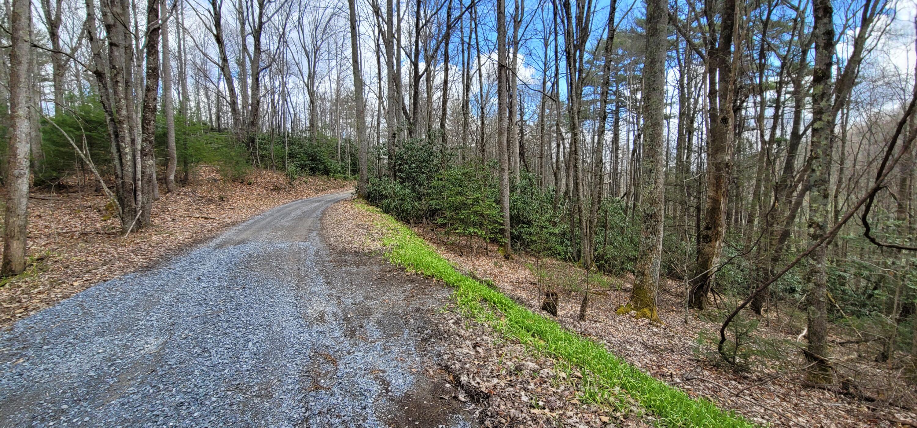 0 White Oak Road Butler, TN 37640 - Photo 16 of 25 20230327_131412