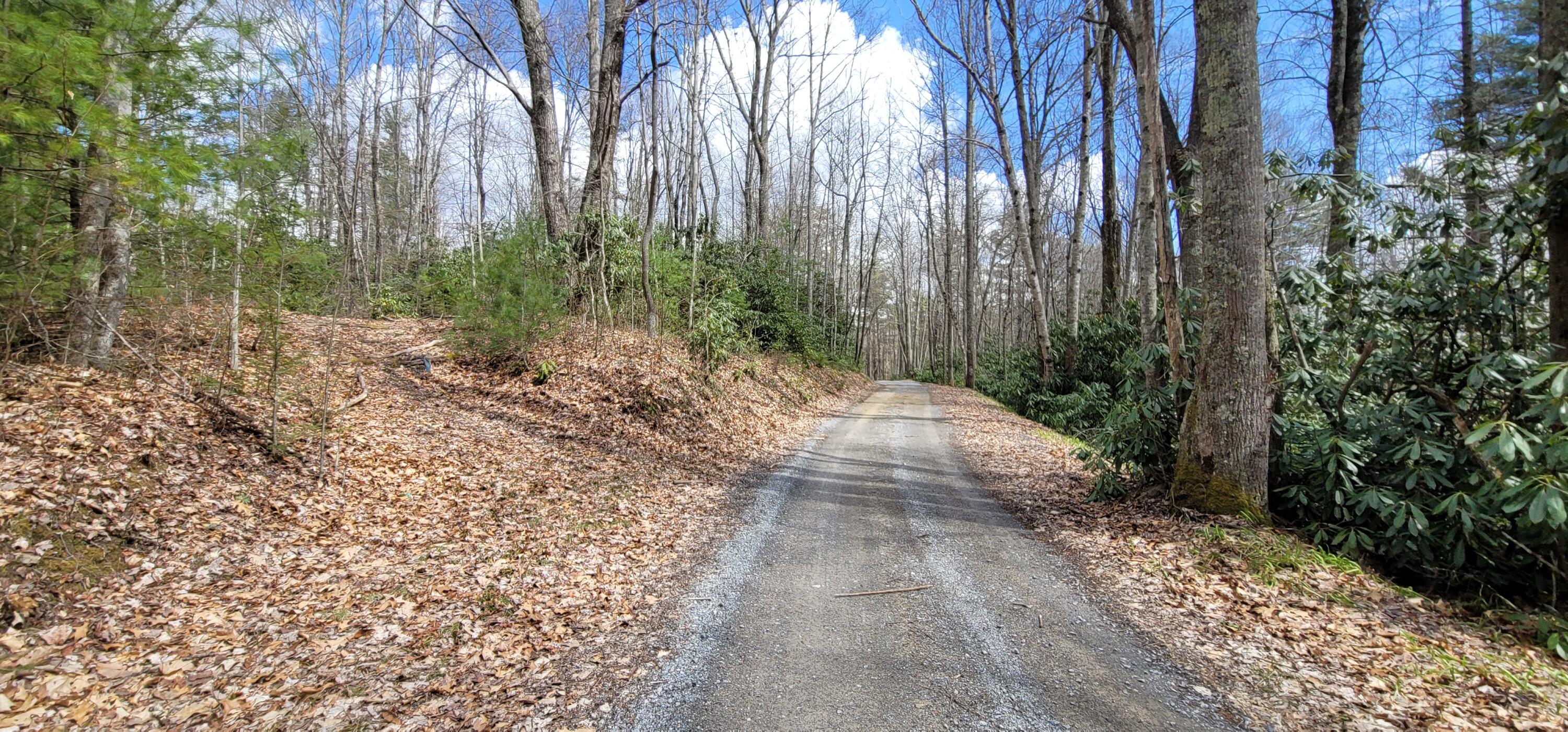 0 White Oak Road Butler, TN 37640 - Photo 17 of 25 20230327_131444