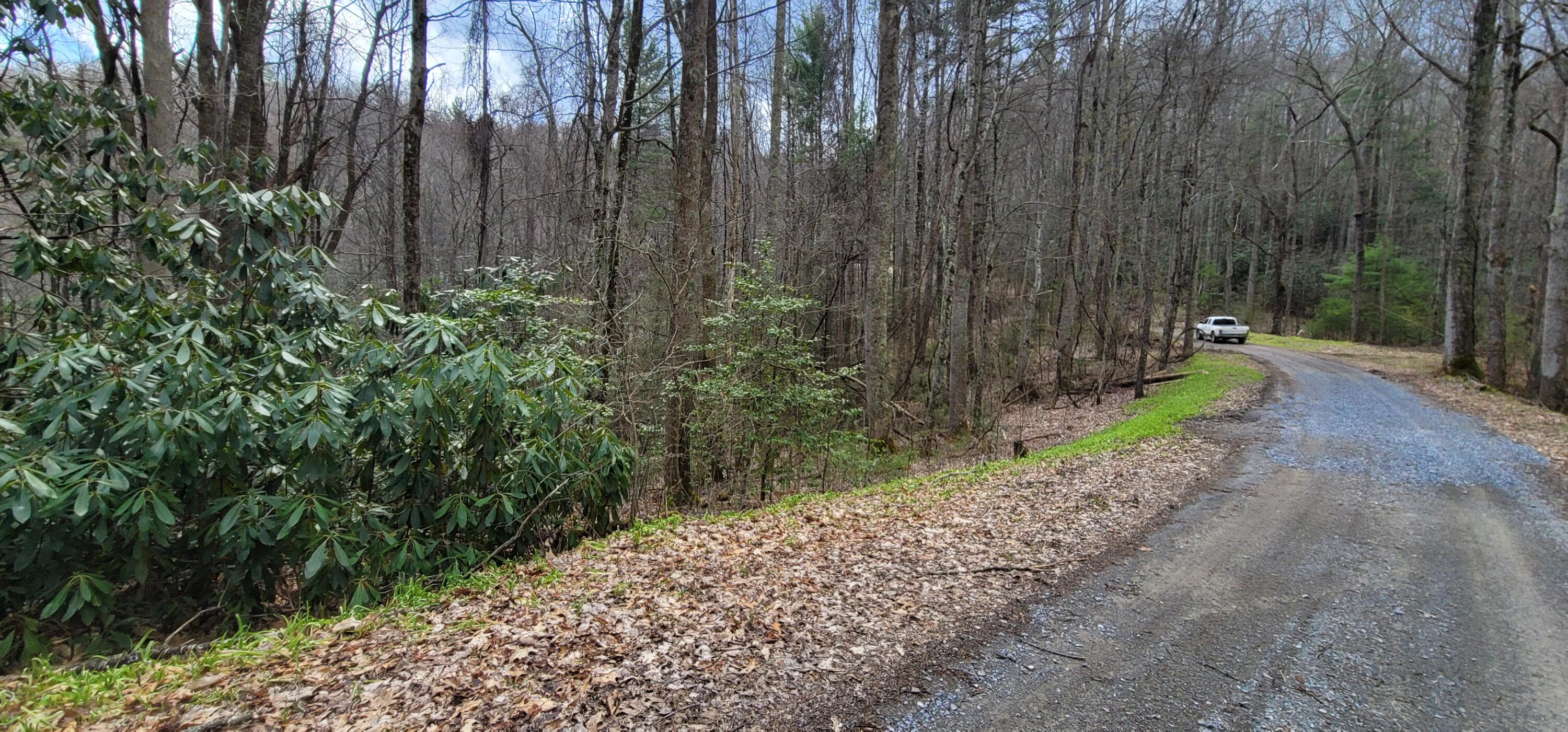 0 White Oak Road Butler, TN 37640 - Photo 19 of 25 20230327_131451