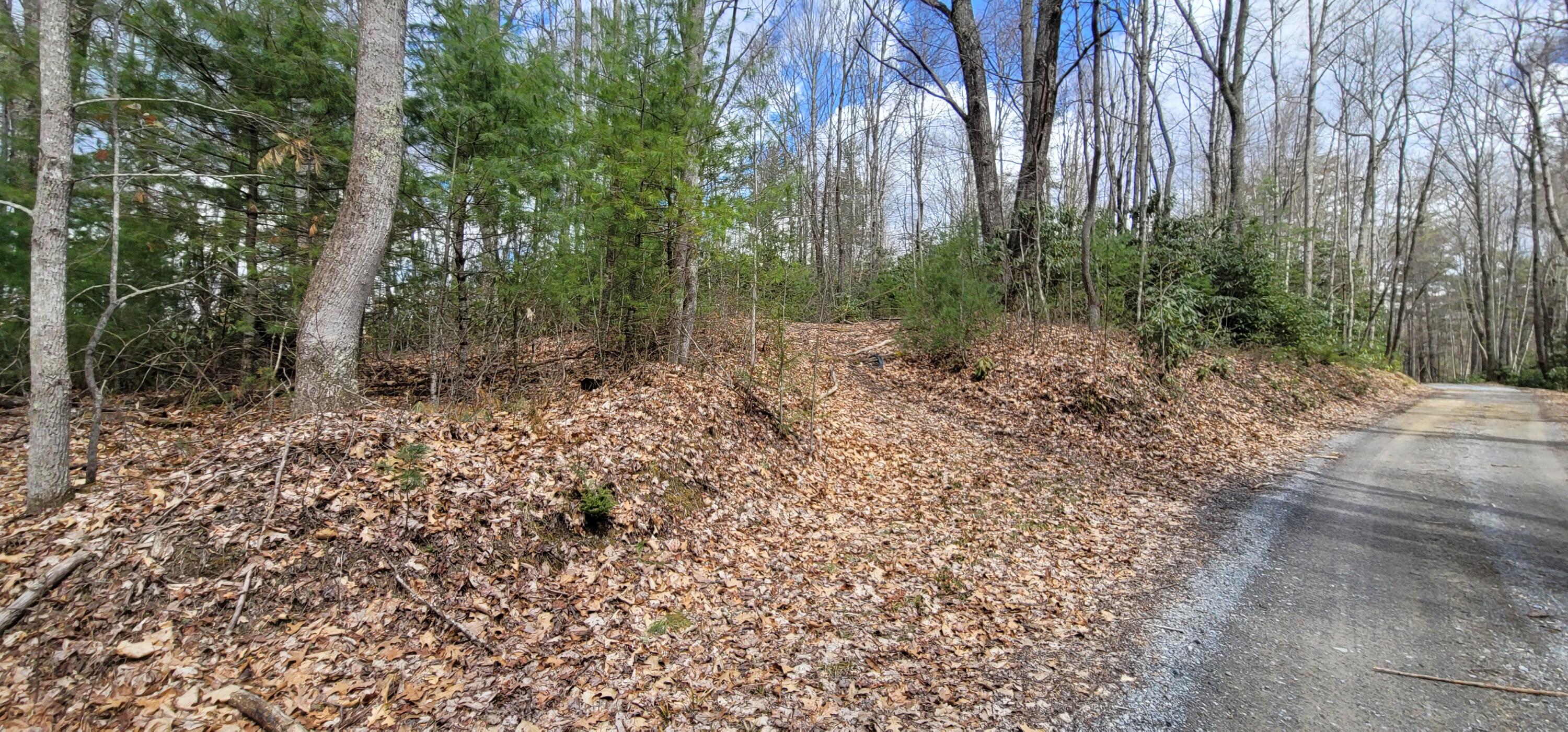 0 White Oak Road Butler, TN 37640 - Photo 20 of 25 20230327_131446