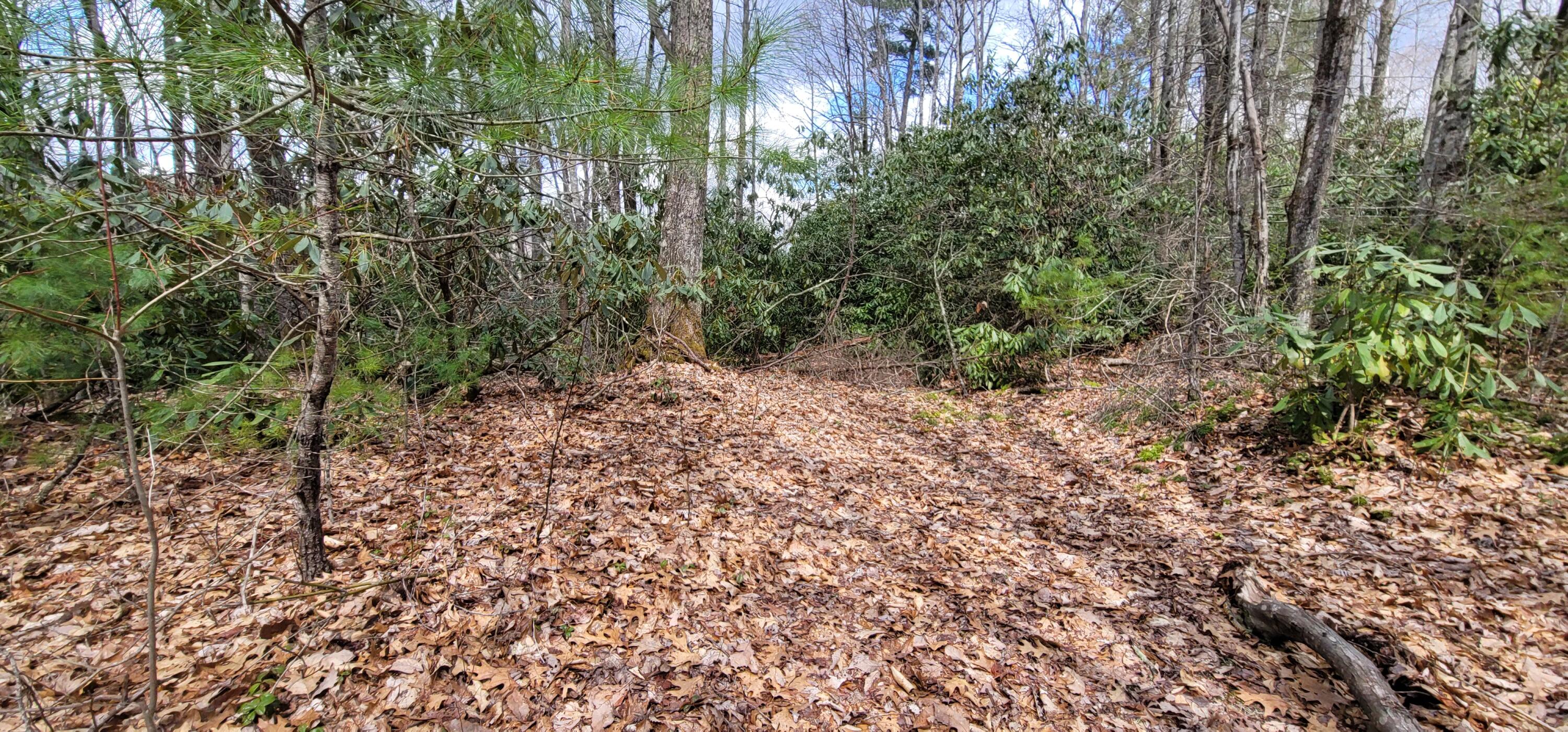 0 White Oak Road Butler, TN 37640 - Photo 21 of 25 20230327_131523