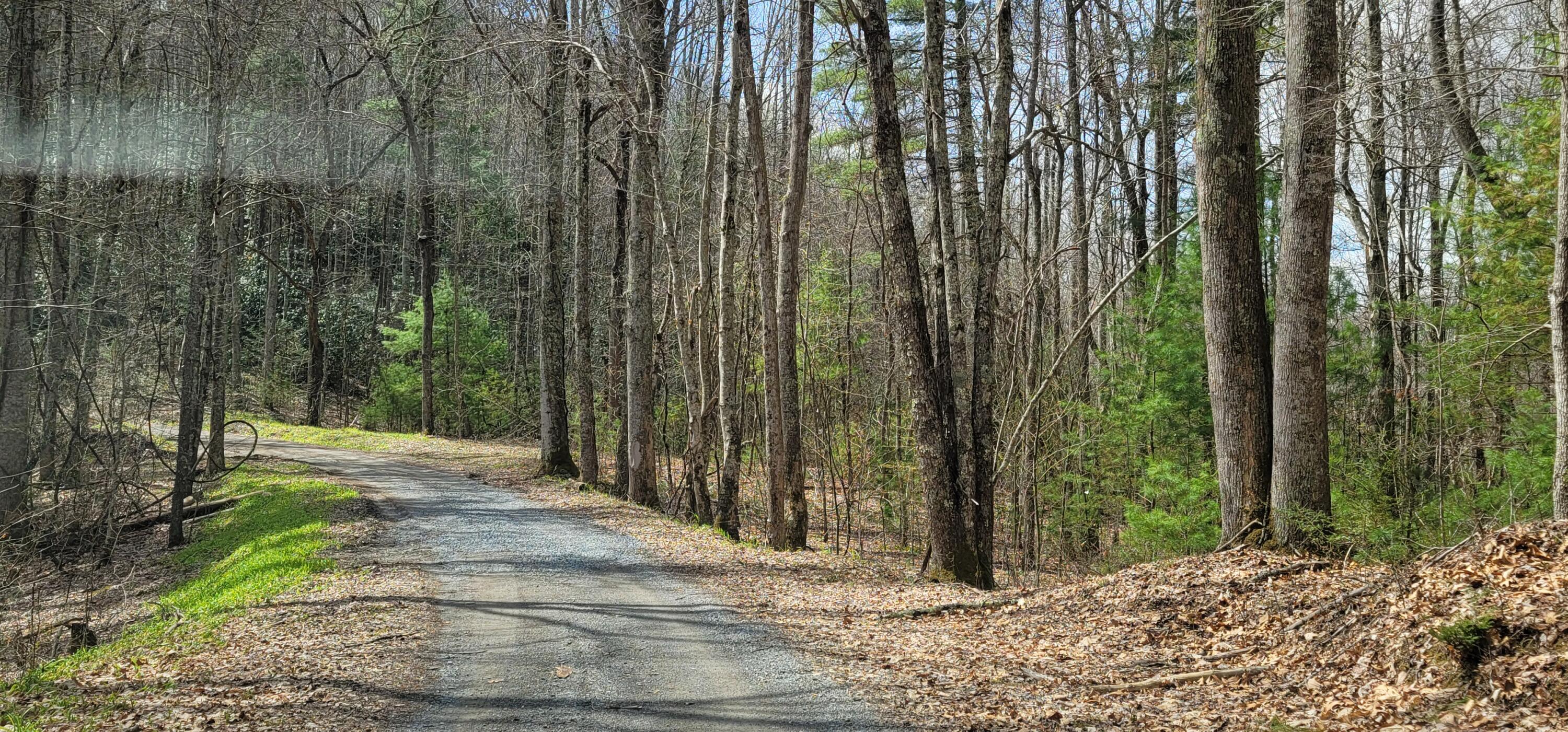 0 White Oak Road Butler, TN 37640 - Photo 23 of 25 20230327_132434